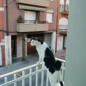agsanchez1