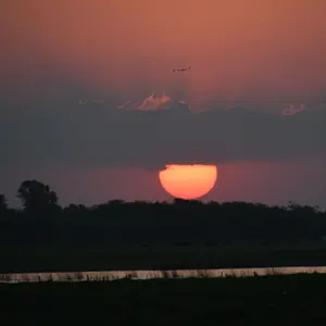 alma_fuerte1