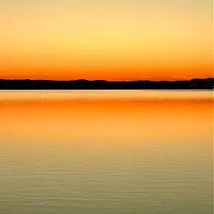 An0nymous_35