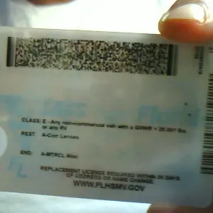 brunosack4