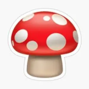 cerapapi22