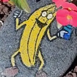 crazybanana69