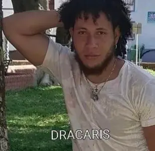 dracaris_grey1