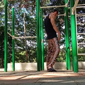flacolatind