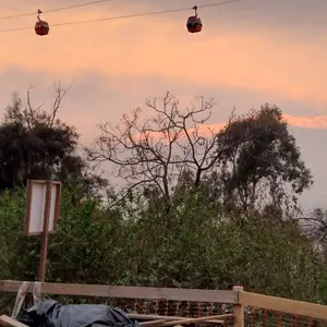lalaland42