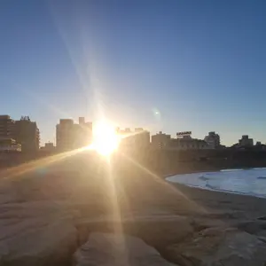 Lemon_criptohot