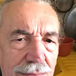 mascalzonelatin