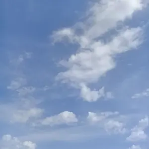 micarranox