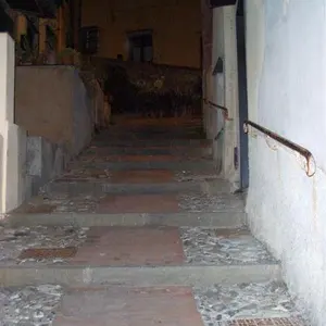 nuotonudo