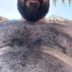 Otterbear1