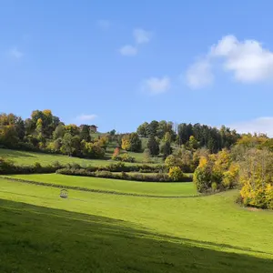 PPzeigegeil