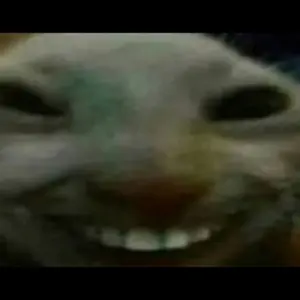sergiopalil1