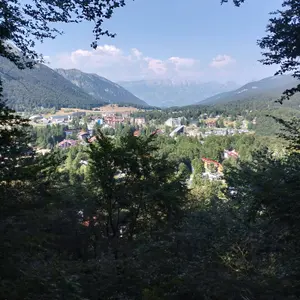 sfrancisco94
