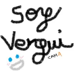 soyvergi