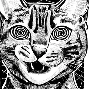 sr_x1