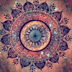 trippybb222
