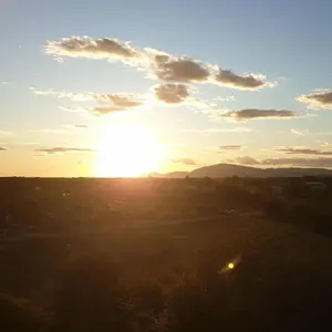 uncutcockitaly
